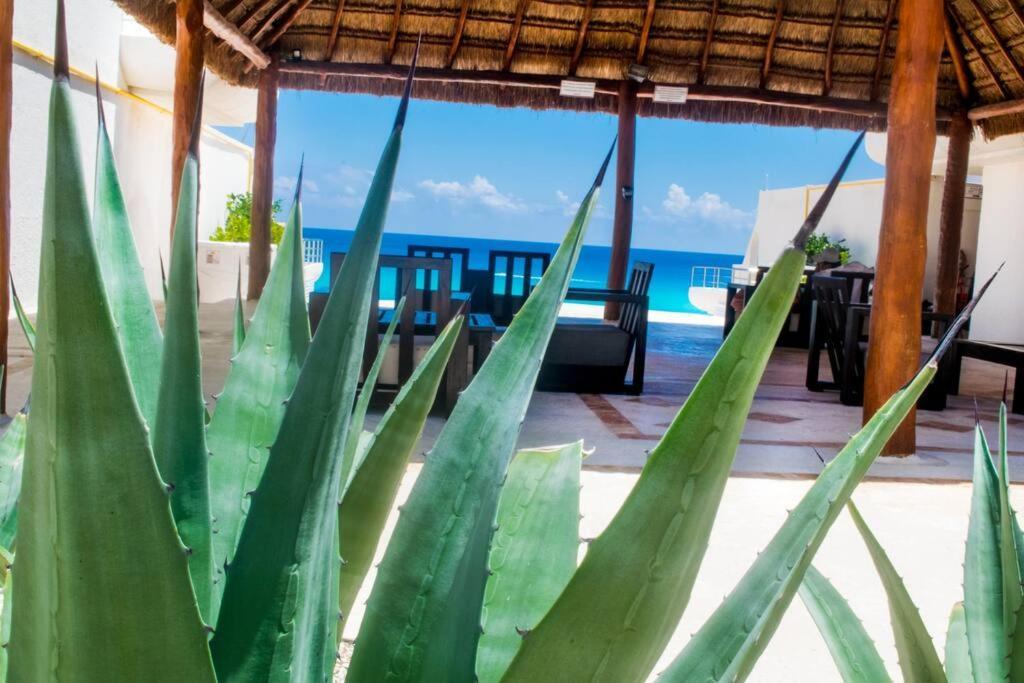 Ocean Front Villa Marlin, Best Location In Hotel Zone #109 Cancun Ngoại thất bức ảnh